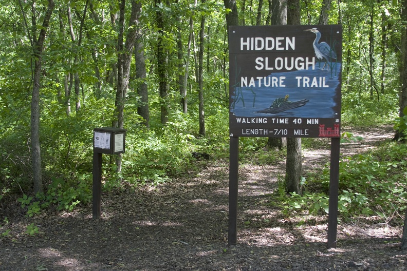 314-2273 Hidden Slough Nature Trail.jpg